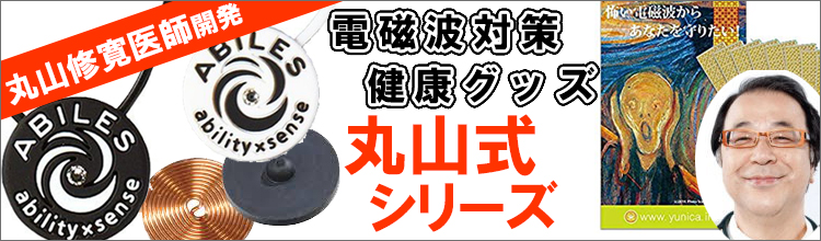 アビリス・丸山式